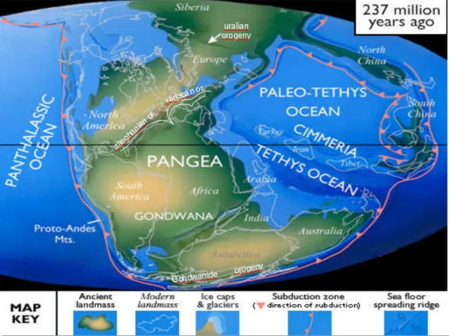 What changed in Pangee Australian Travel Network
